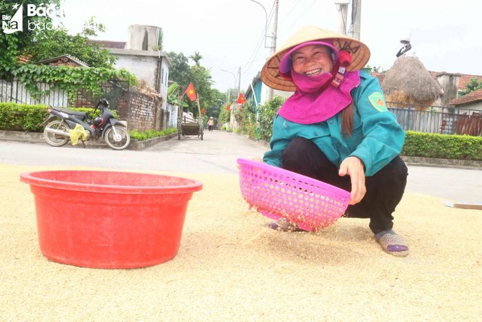  Bà Nguyễn Thị Liên ở xóm Sen 2 chia sẻ: Vụ lúa này, gia đình bà làm 1 mẫu 2 ruộng, trong đó một nửa diện tích trồng nếp. Để lúa nhanh khô, ngoài quét sạch, sàng kỹ, vợ chồng bà thay nhau cào, trở cả trưa. Ảnh: Huy Thư 