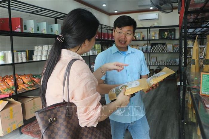Giới thiệu sản phẩm sen quê Bác tới du khách tham quan.