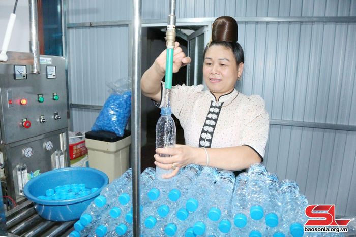 Chị Lừ Thị Phượng, Giám đốc HTX dịch vụ nông nghiệp tổng hợp Linh Chi, xã Tạ Khoa, huyện Bắc Yên.
