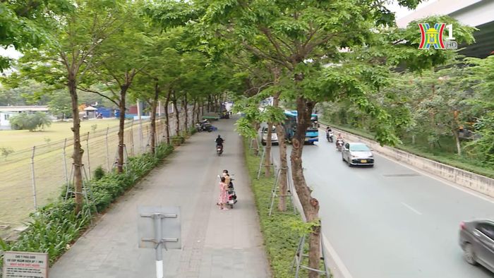 Hàng cây xanh trên đường Phạm Văn Đồng.