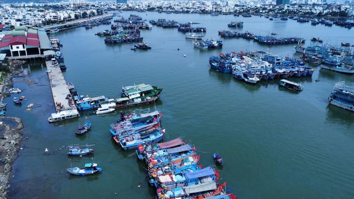 Tàu đánh cá vào cảng cá Hòn Rớ. Ảnh: Lệ Giang