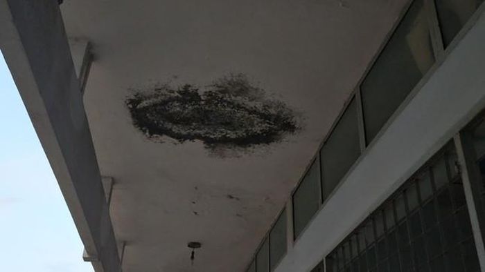 Phía trên trần nhà đã bị ẩm, mốc.