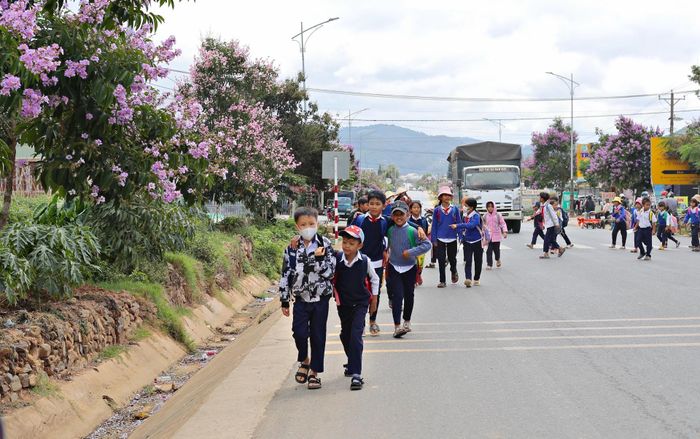 Tháng 5, khi học sinh chuẩn bị nghỉ hè cũng là lúc bằng lăng tím đua nhau khoe sắc