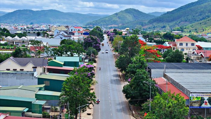 Hoa bằng lăng đã tạo điểm nhấn cho tuyến Quốc lộ 20, đoạn đi qua địa bàn xã Hiệp An.