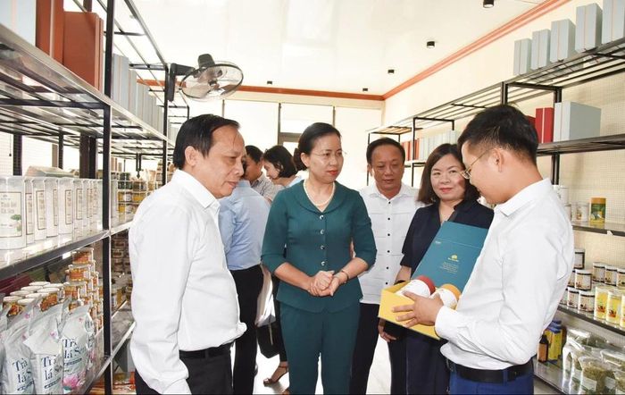  Lãnh đạo Trung ương Hội Nông dân và Hội Nông dân tỉnh tham quan các sản phẩm OCOP ở huyện Nam Đàn. Ảnh: Thanh Lê 