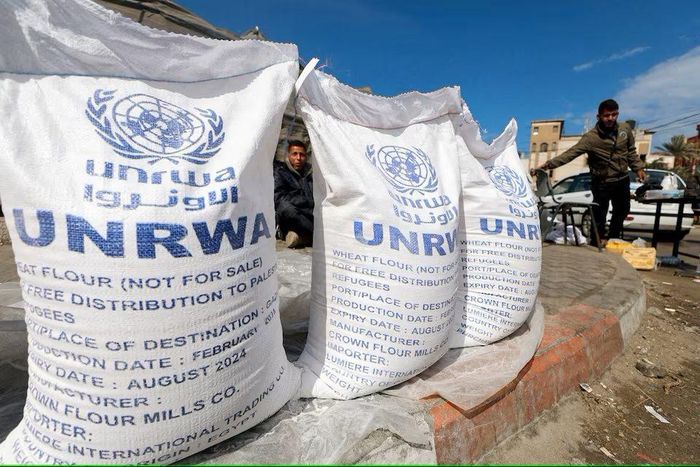 Lương thực do UNRWA phân phối cho người dân Palestine ở Dải Gaza. Ảnh: Reuters