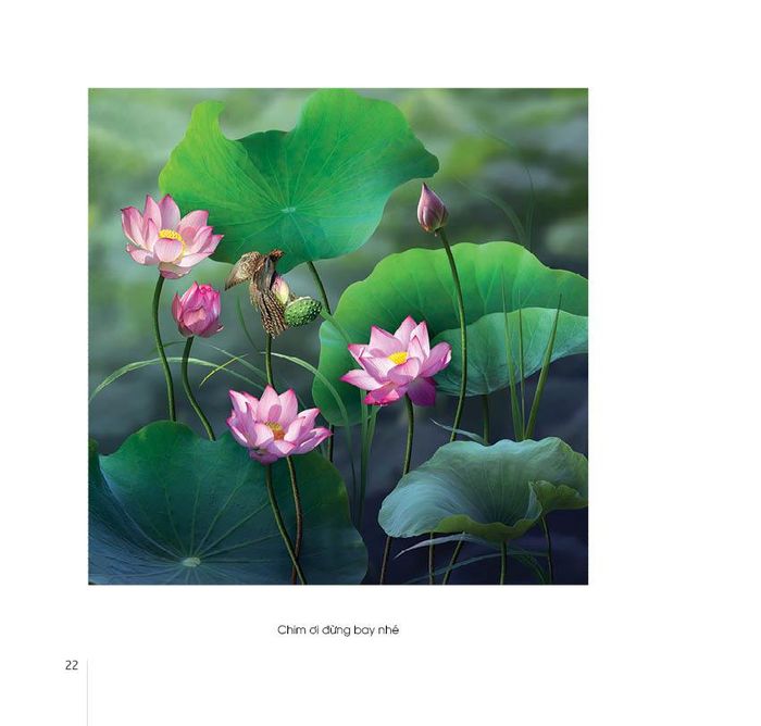 Một bên là nhiếp ảnh với những tác phẩm “Anh và em”, “Ngóng bạn”, “Tình mẫu tử”, “Trong khuôn phép”, “Tuổi thanh niên sôi nổi”, “Huyền ảo”, “Chúng ta là một gia đình”, “Vũ điệu sen”…