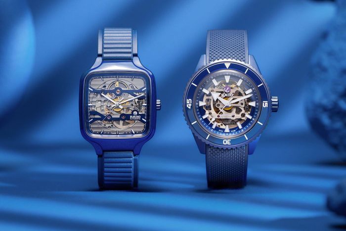 Captain Cook và True Square Skeleton mặt vuông. Ảnh: Rado.