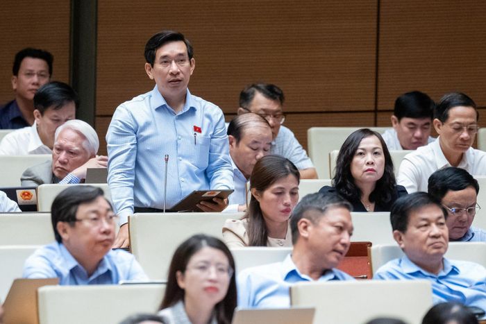 Đại biểu Nguyễn Văn Cảnh - Đoàn ĐBQH tỉnh Bình Định