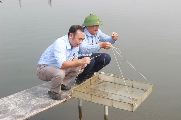  Lực lượng chức năng kiểm tra tôm nuôi tại huyện Quỳnh Lưu. Ảnh: Q.A 