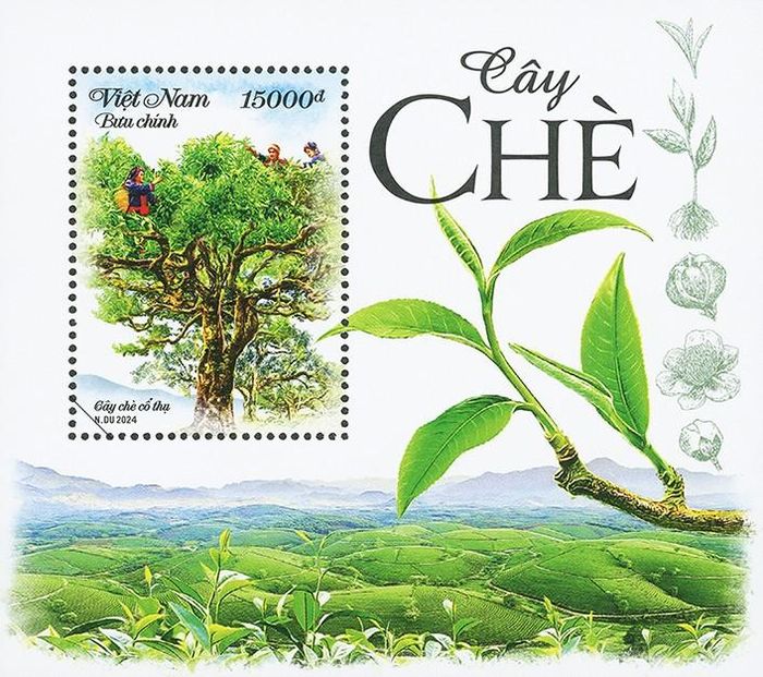 Blốc bộ tem Cây chè có giá 15.000đ