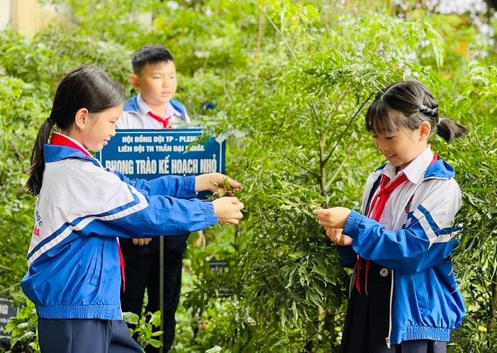 Hoạt động chăm sóc cây xanh giúp học sinh nâng cao kỹ năng sống. Ảnh: Mai Ka