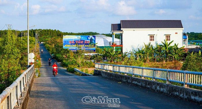 Khởi sắc diện mạo nông thôn. (Ảnh: Đoạn đường từ cầu Rạch Gốc đi về xã Tân Ân).