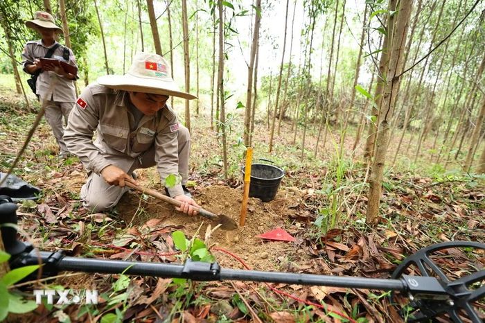  Đội rà phá, bom mìn BAC4 (PeaceTrees Quảng Trị) triển khai, làm sạch những diện tích đất đồi tại huyện Đakrông, đem lại đất sản xuất cho nhân dân. (Ảnh: Minh Đức/TTXVN) 