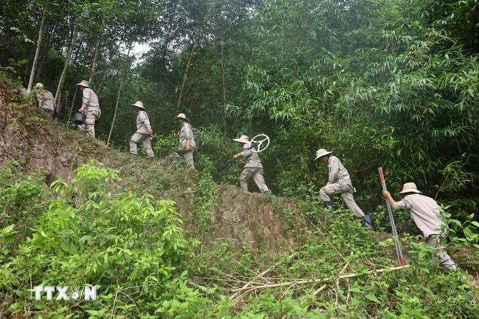  Đội rà phá, bom mìn BAC4 (PeaceTrees Quảng Trị) lên đường làm sạch những vùng đất thuộc huyện Đakrông, đem lại đất sản xuất cho nhân dân. (Ảnh: Minh Đức/TTXVN) 