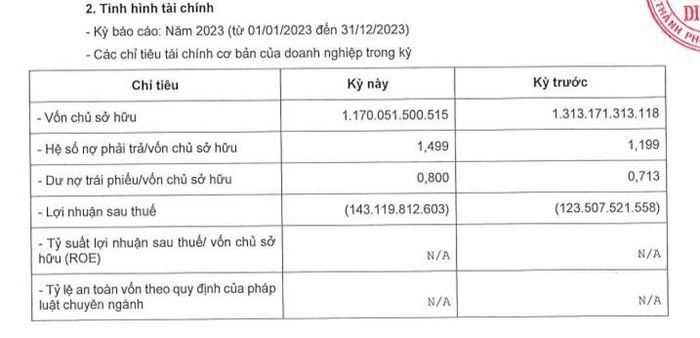 Tình hình tài chính năm 2023 của Bất động sản Diên Vĩ.