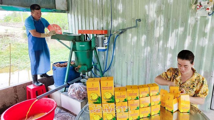 Chị Lâm Hằng Ni, ấp Ông Bích, xã Khánh Bình đang hoàn thiện sản phẩm tinh bột nghệ xà cừ để được công nhận OCOP.