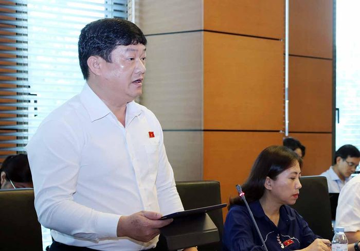 Đại biểu Quốc hội Lương Văn Hùng (Quảng Ngãi) phát biểu tại Tổ 3. Ảnh: Thái Bình