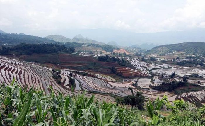 Màu của nước được phản chiếu bởi ánh sáng mặt trời đan xen với màu xanh của hoa màu tạo ra một bức tranh đa sắc