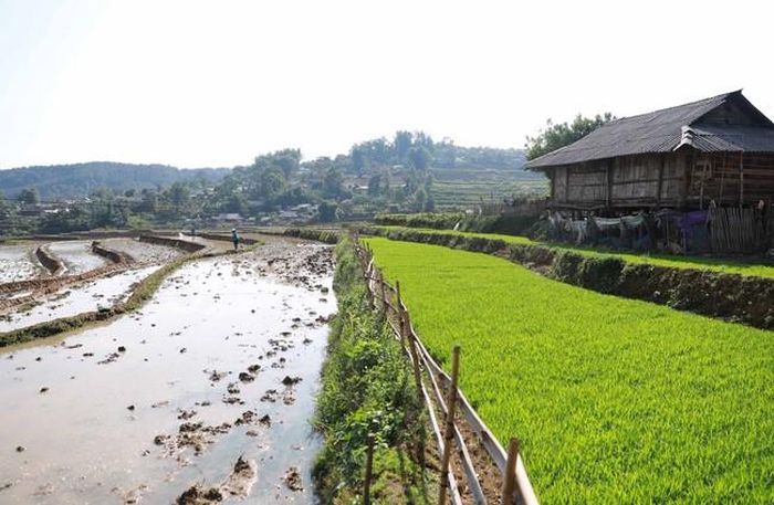 Vẻ đẹp thanh bình của những thửa ruộng bậc thang vào mùa nước đổ