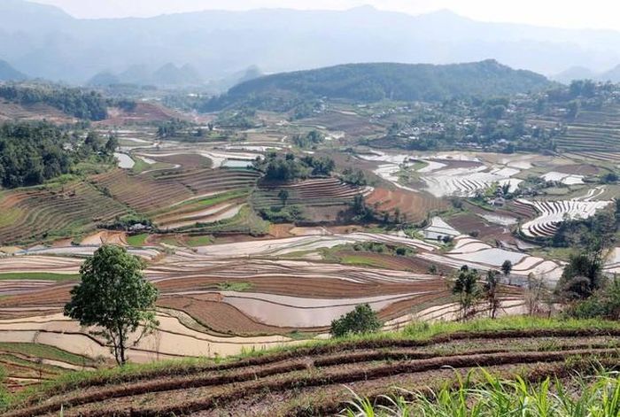 Từng lớp ruộng bậc thang uốn lượn mềm mại với các màu sắc khác nhau khi nước đổ