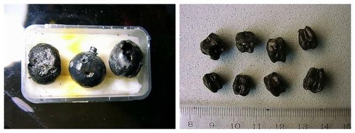 Hạt nhãn (bên trái) và dâu da xoan (bên phải) trong đĩa gỗ mộ Châu Can