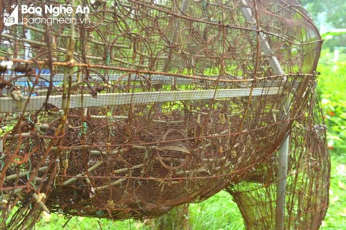  Nhiều bẫy thú rừng được bỏ vào bụng "voi". Ảnh: Văn Trường 