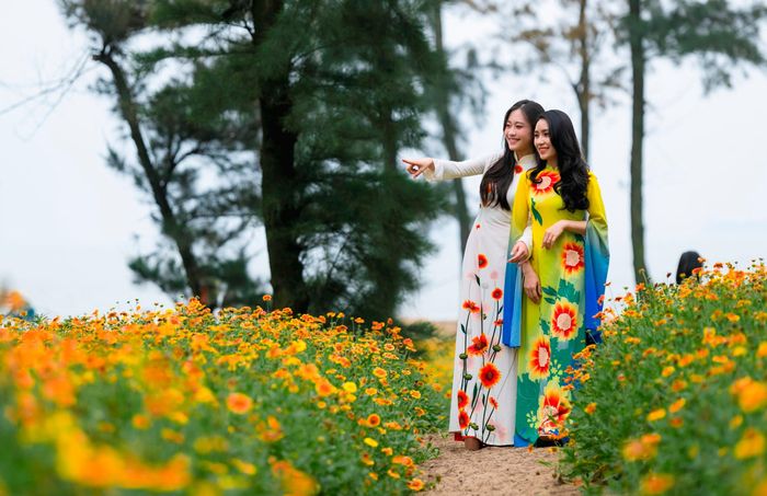Lưu lại những khoảnh khắc đẹp cùng hoa cúc biển. Ảnh: Đức Anh