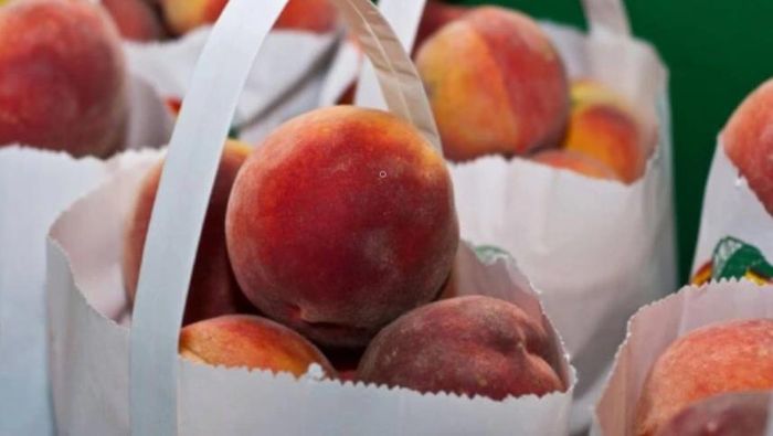  Ảnh: Pexels 