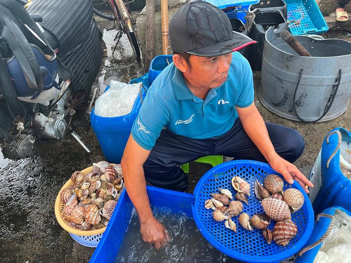 Anh Dư phân loại ốc giấy.