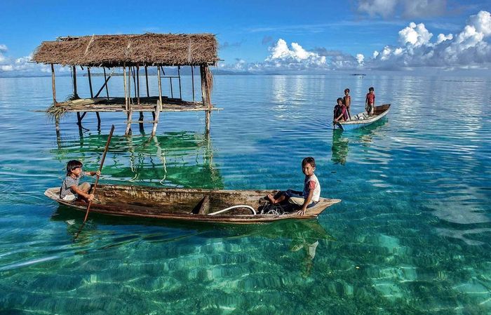 Theo đó, các chuyên gia đã phát hiện sự thật thú vị. Cơ thể người Bajau đã thích nghi với lối sống dưới nước. Cơ quan trong cơ thể của họ có sự tiến hóa như lá lách lớn hơn giúp tăng oxy trong máu khi lặn.