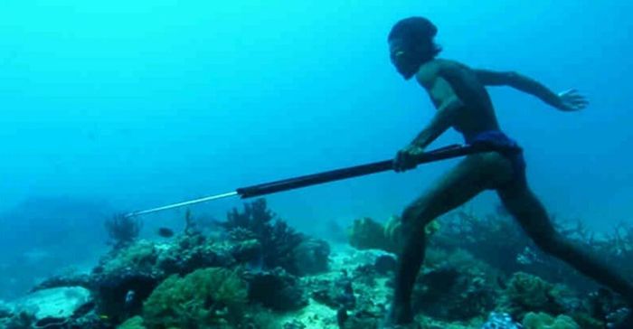 Ngoài cá, người Bajau còn lặn sâu dưới biển để tìm hải sâm, ngọc trai hay nhím biển, những sản vật quý hiếm. Sau đó, họ đổi những thứ đánh bắt được để lấy lương thực trên đất liền.