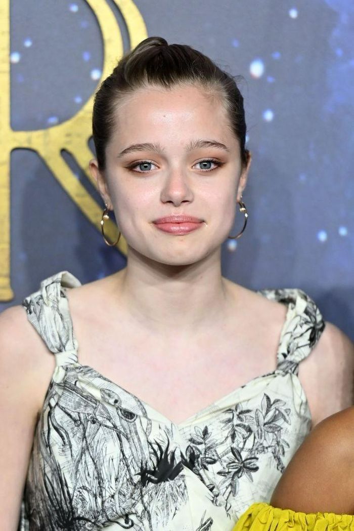 Hai người con ruột của Brad Pitt là Vivienne và Shiloh đều bỏ họ cha.