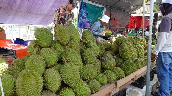 Những loại trái cây ngon nhất được các tỉnh, thành mang đến Tuần lễ trái cây. Ảnh: M.Tuấn.