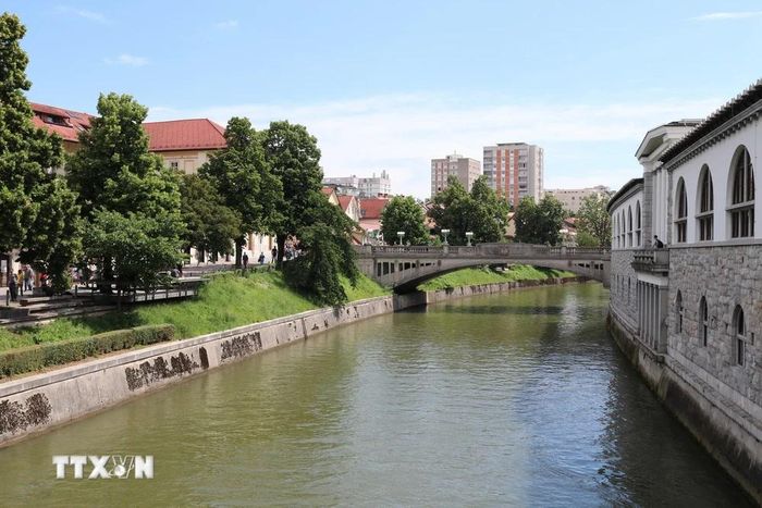  Dòng Ljubljanica có rất nhiều cây cầu đi bộ và được thiết kế kè kết hợp cây xanh. (Ảnh: Ngọc Biên/TTXVN) 
