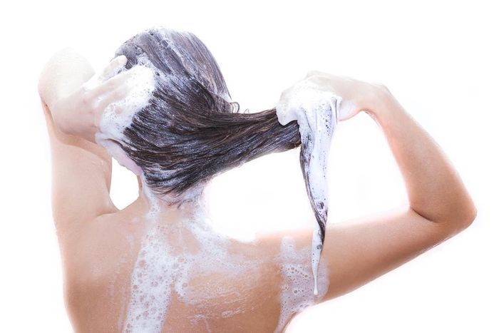 Tình trạng rụng tóc trầm trọng hơn khi gội đầu phần lớn là do gội đầu không đúng cách.