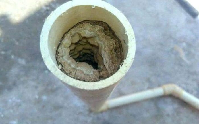 Có nhiều lý do nên vệ sinh đường ống nước thường xuyên. (Ảnh: Urentek)