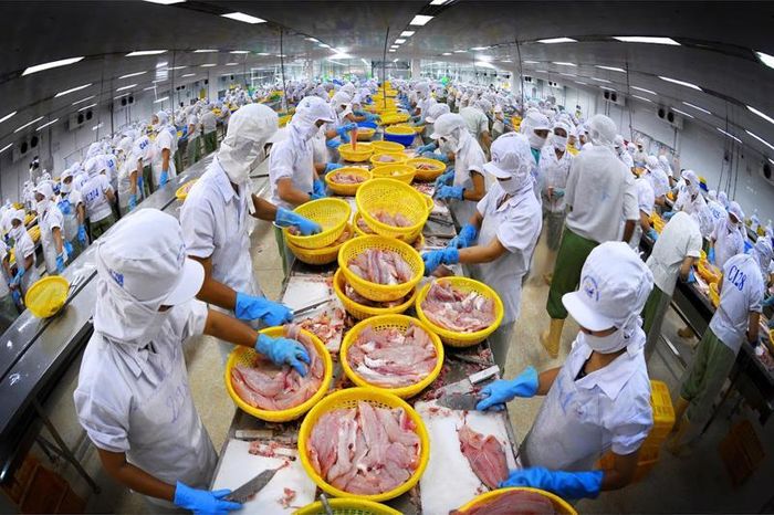 Xuất khẩu thủy sản 5 tháng đầu năm đem về 3,6 tỷ USD.