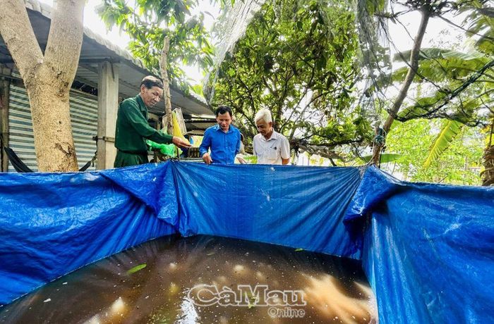 Mô hình nuôi ếch giúp ông Phan Thanh Sử (bìa trái) có thêm nguồn thu nhập.