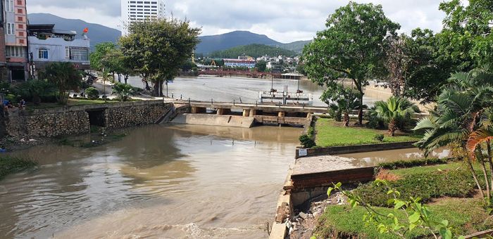 Vườn hoa sau đập tràn cầu Sông Sinh chiếm gần một nửa diện tích lòng sông sau đập tràn.