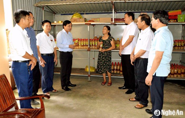 Phó Chủ tịch HĐND tỉnh Nguyễn Như Khôi khảo sát, tìm hiểu về sản phẩm tương Nam Đàn. Ảnh: Xuân Hoàng