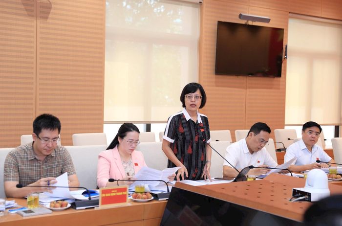 Trưởng ban Kinh tế - Ngân sách HĐND thành phố Hồ Vân Nga kết luận buổi làm việc. Ảnh: Vũ Thủy