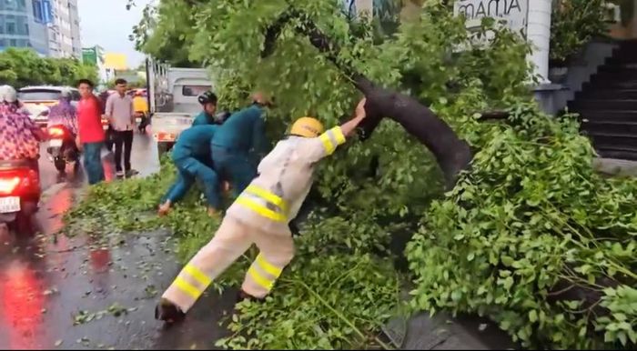 Do mưa lớn kèm gió giật mạnh cũng làm cây xanh trên đường Nguyễn Văn Trỗi, quận Phú Nhuận bị bật gốc ngã ra đường gây cản trở giao thông. Lực lượng CSGT đội Tân Sơn Nhất và dân quân tự vệ hỗ trợ di dời vào lề đường để giao thông được thuận lợi