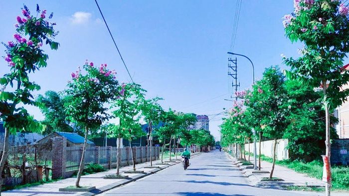 Tuyến đường huy động bằng sức dân xây dựng, chỉnh trang tại xóm 9, xã Nghi Phú. Ảnh Mai Hoa