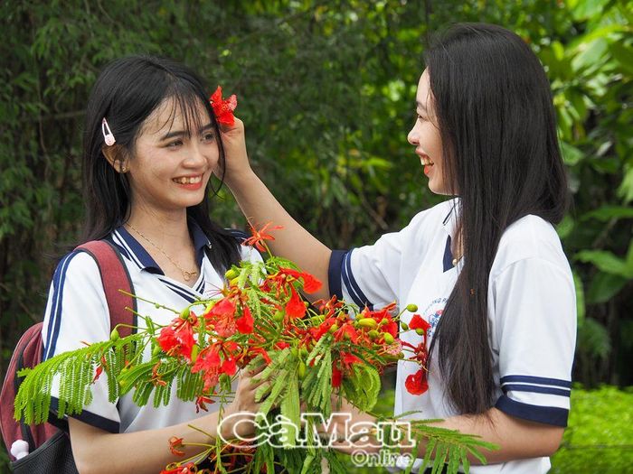 Ðôi bạn vô tư đùa giỡn, làm duyên cùng những cánh phượng.