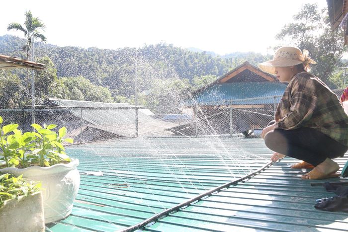 Một hộ dân đang lắp đặt hệ thống tự tưới trên mái chuồng chăn nuôi để làm mát. Ảnh: Đình Tuân