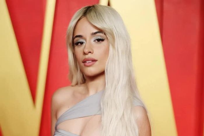 Nữ nghệ sĩ Camila Cabello