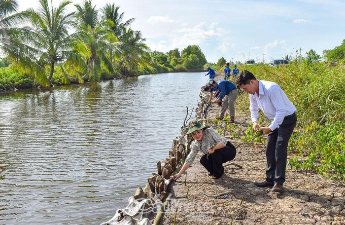 Ngay sau lễ phát động, lãnh đạo các cấp bộ đoàn, ÐVTN đã tiến hành trồng cây ở tuyến đường ÐT 986, thuộc địa bàn xã Tân Hưng Tây.