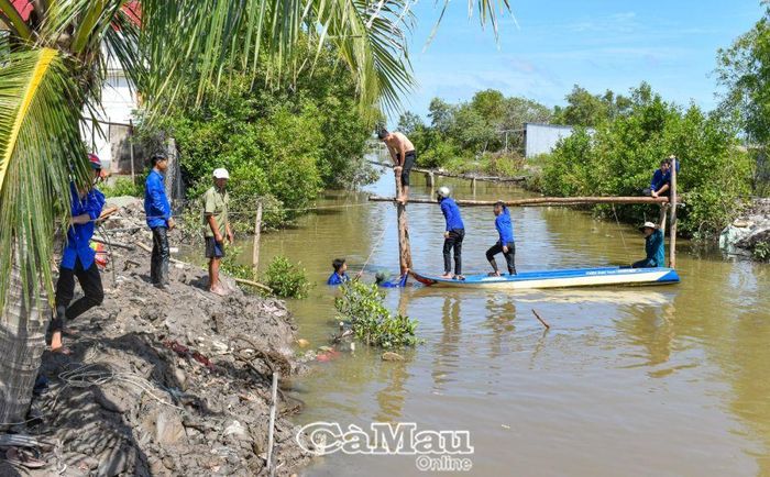 ÐVTN làm cầu gỗ đôi giúp người dân đi lại thuận tiện tại Khóm 7, thị trấn Cái Ðôi Vàm.