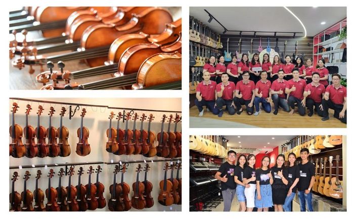Nhạc cụ Tiến Đạt phân phối đa dạng các mẫu đàn Violin thịnh hành trên thị trường